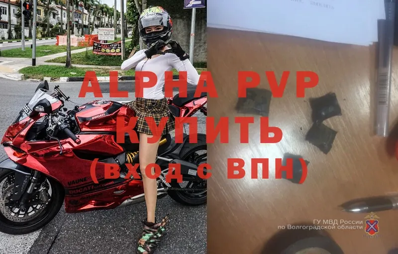 A-PVP СК  Жиздра 