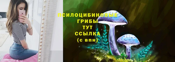дживик Горнозаводск