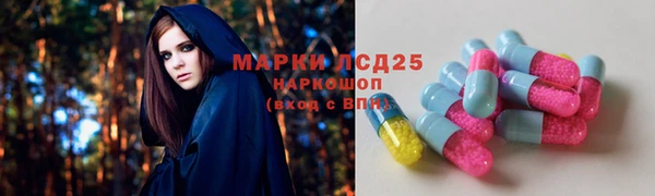 дмт Горно-Алтайск