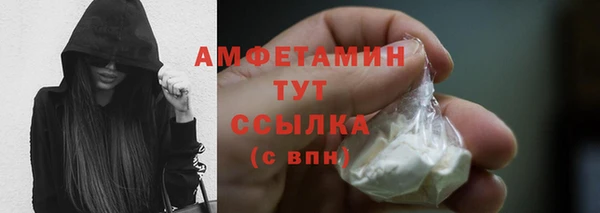 гидра Чердынь