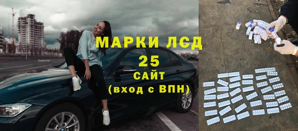 сатива Лабытнанги
