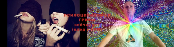 дживик Горнозаводск